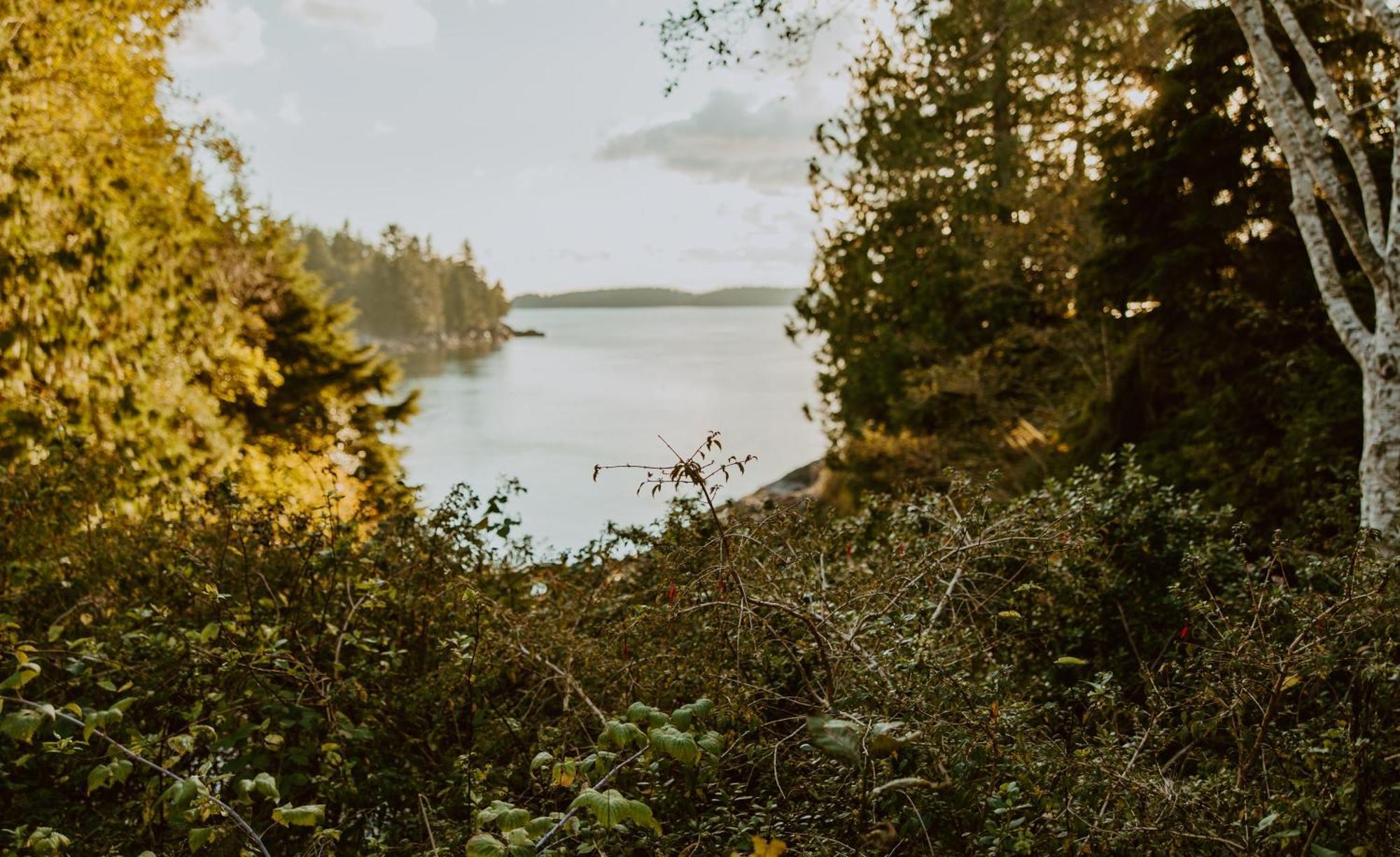 Lunar Cove Inn Charters And Tours Tofino Dış mekan fotoğraf