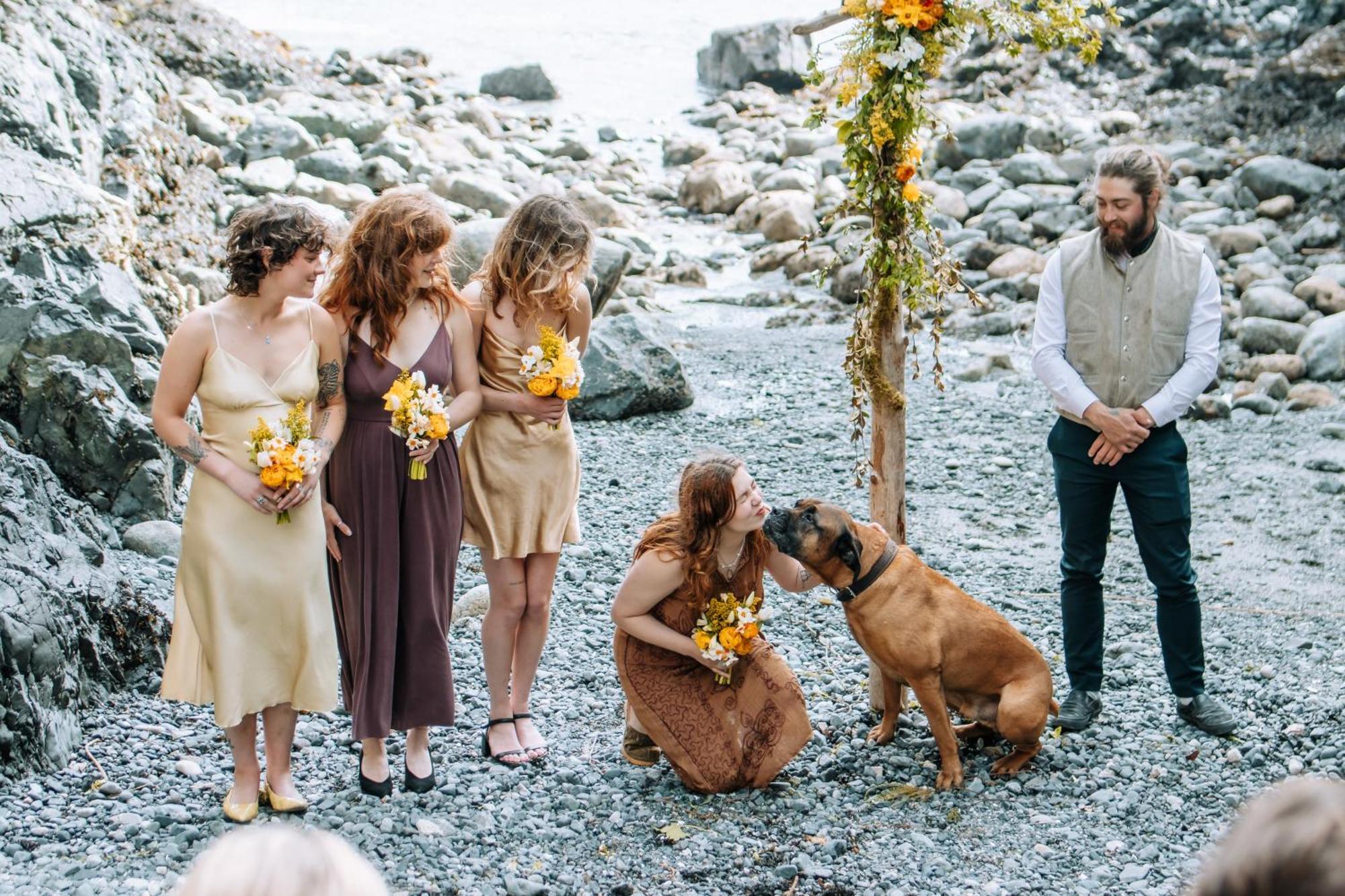 Lunar Cove Inn Charters And Tours Tofino Dış mekan fotoğraf